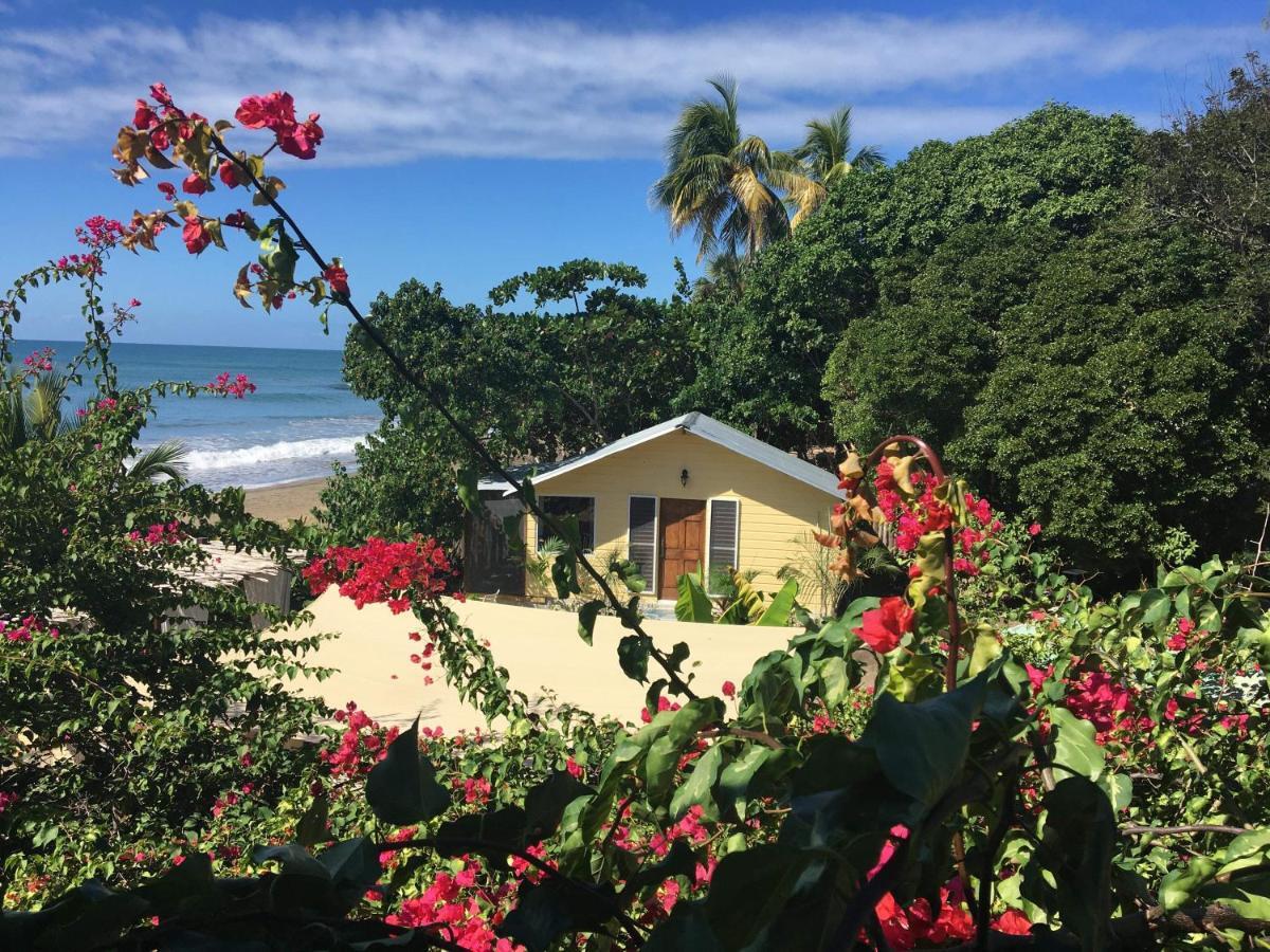 Katamah Beachfront Guesthouse Пляж Сокровищ Экстерьер фото